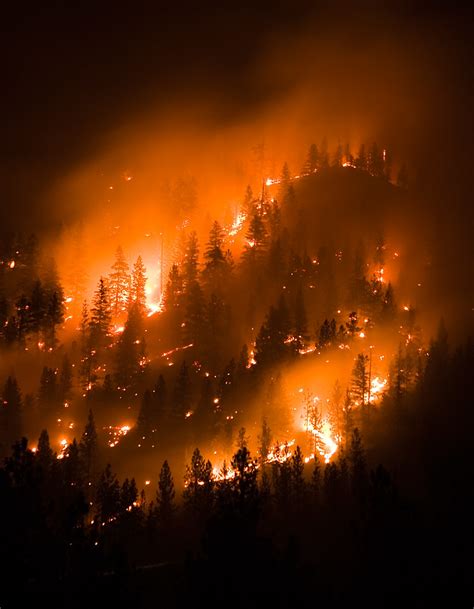 Montana Wildfire Forest Fire A Hillside Burns In Lolo
