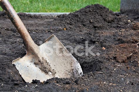 Digging In The Dirt Stock Photo Royalty Free Freeimages