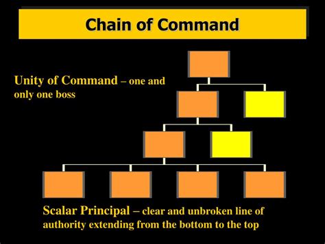 Walmart Chain Of Command Chart