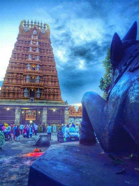 Nanjangud Temple Mysore Pictures Of Shiva Temple India Indian