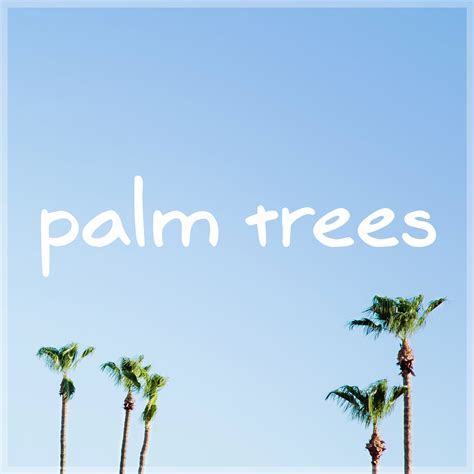 Palm Trees By Mbb Free Download On Hypeddit