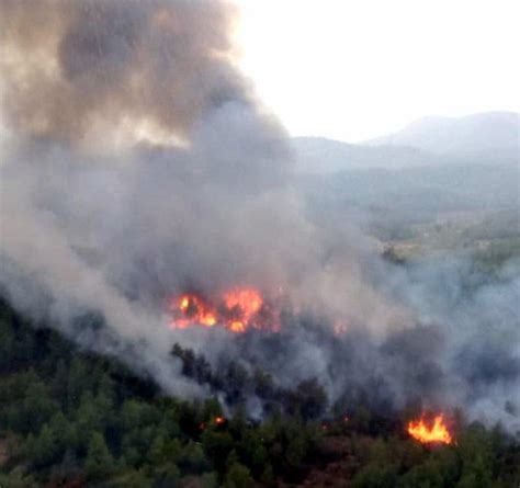 Muğla'nın köyceğiz ilçesindeki ormanlık alanda çıkan yangın, havadan ve karadan müdahaleyle söndürüldü. Muğla'da yangın dizisi devam ediyor: Köyceğiz'de üç futbol ...