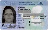 Ontario Drivers License Record Images