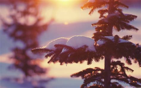 1000 Best Winter Mac Wallpapers Free Hd Download Allmacwallpaper