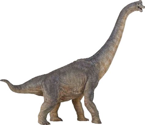 Dinossauro Png Transparente