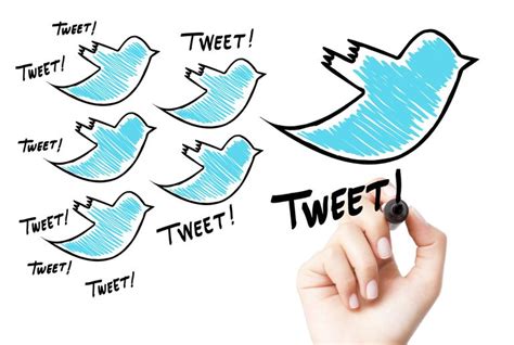 To build a following on twitter, allan pollett focuses on finding people who are interested in his niche and starts engaging with them. Get Twitter Followers: Basic Strategies