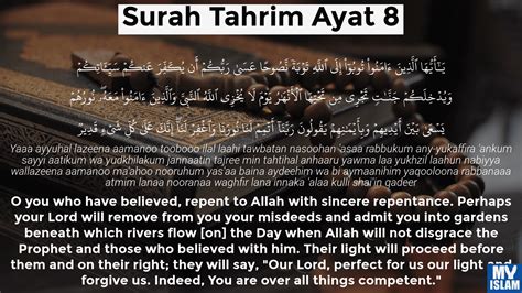 Surah Tahrim Ayat 8 668 Quran With Tafsir My Islam