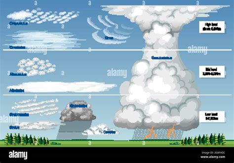 The Different Types Of Clouds With Names And Sky Levels Illustration