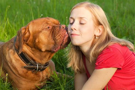 Young Girl And Her Dog Stock Photo Image Of Cute Brown 9680008