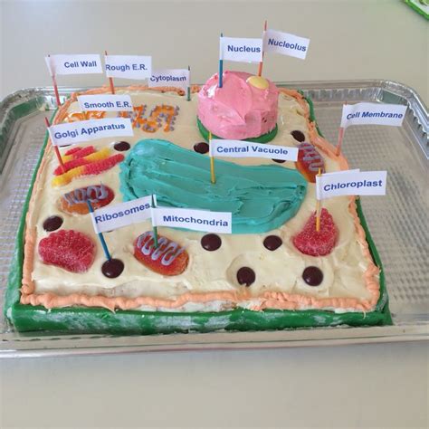 When you purchase a digital subscription to cake central magazine, you will get an instant and automatic download of the most recent issue. Plant Cell Cake Model | Projects to Try | Pinterest ...