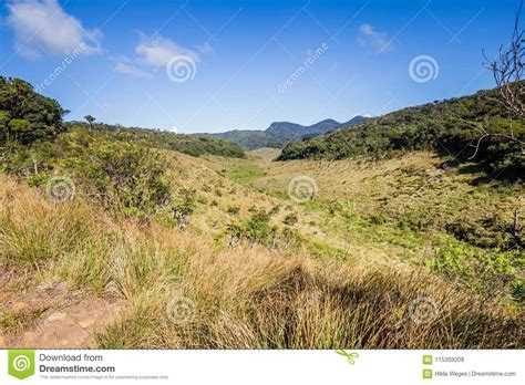 Horton Plains National Park In Sri Lanka Stock Image Image Of Amazing