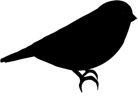 bird outline clipart best