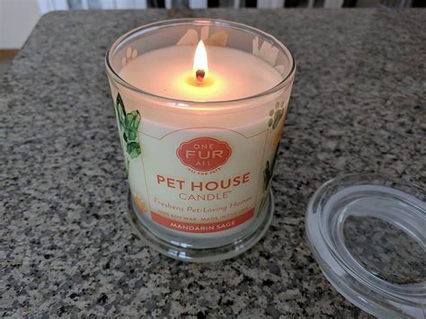 *or even returning home from grocery shopping? Best Pet Odor Eliminating Candles and Sprays - Woof Whiskers