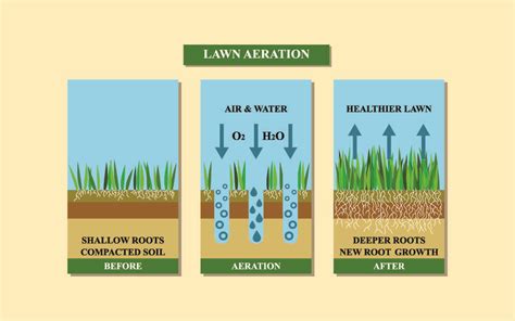 Soil preparation is critical to the rooting depth and drought tolerance of turf. What Does Aerating a Lawn Do? What is Lawn Aeration?