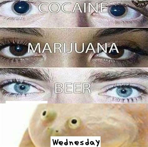 The 18 Best It Is Wednesday My Dudes Memes Meaning And Origins