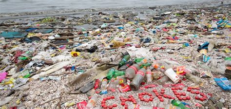 Coca Cola Produced Over 110 Billion Plastic Bottles Last Year