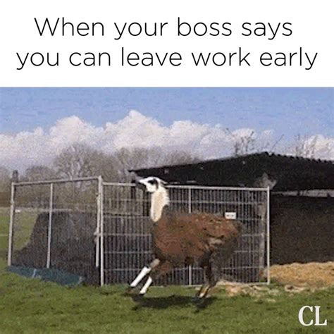 Country Living Magazine When Your Boss Says You Can Leave Work Early
