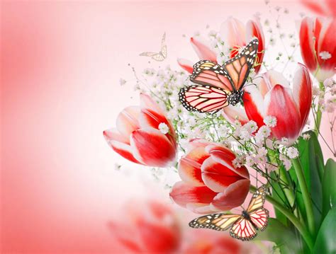 Flowers Tulips Flowers And Butterflies Tulips Pink Bouquet