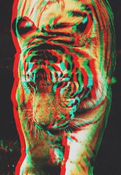 Check spelling or type a new query. Trippy tiger | Animal illustration, Unnatural