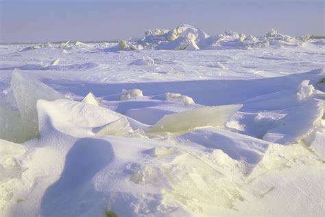 Natural Disasters In The Arctic Tundra Images All Disaster Msimagesorg