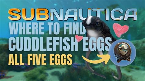 Where To Find All 5 Cuddlefish Eggs In Subnautica Youtube