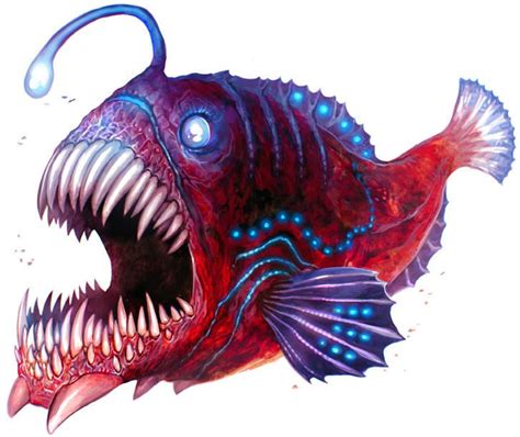 Anglerfish By Corbella On Deviantart Angler Fish Angler Fish Art