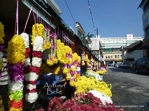 Shop for personalized gifts at the printing shop. My Nice Garden: Flower Street at Little India Klang - Part ...