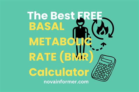 the best bmr calculator in 2024