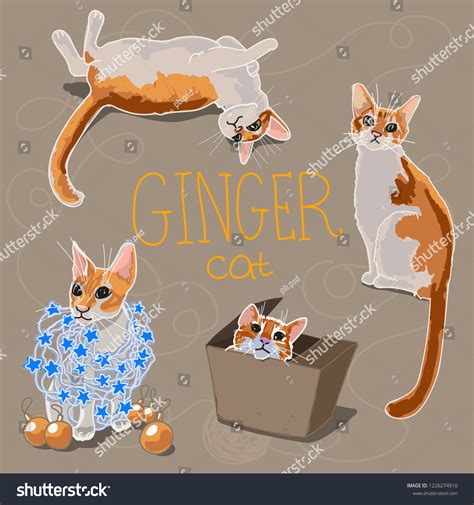 Vector Ginger Cat Stock Vector Royalty Free 1226274916 Shutterstock