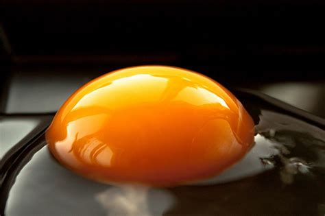 Is Boiled Egg Yolk Good For Plants Find Out Here In House Farmer