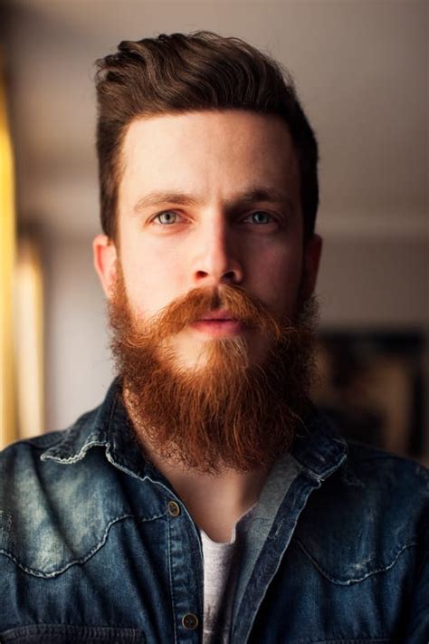 15 Professional Beard Styles The Elegant Man Beard Look