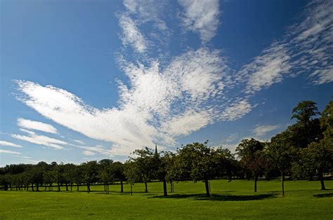 Free Images Landscape Tree Nature Grass Horizon Cloud Sky