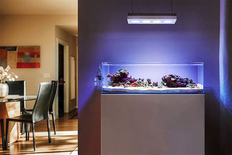 20 Modern Aquariums For Cool Interior Styles Homemydesign