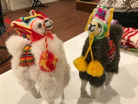 Peruvian Alpacas Wearing Chullo Hats Alpacacountryestates