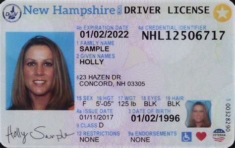 Driver License Card Examples Gambaran