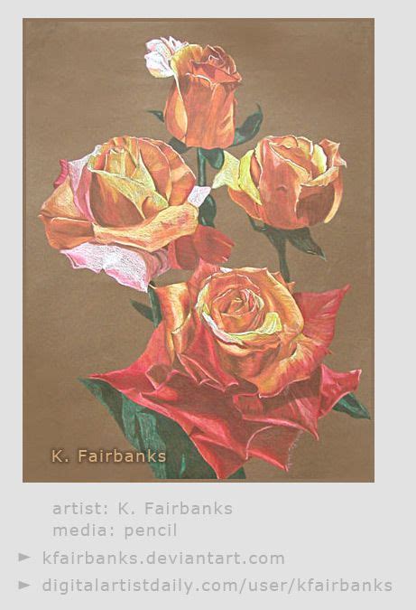 color pencil drawing of roses on canson paper by k fairbanks color pencil drawing pencil
