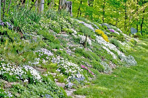 13 Hillside Landscaping Ideas To Maximize Your Yard
