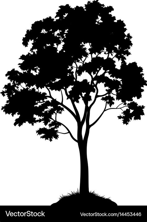 Tree Silhouette Svg Files