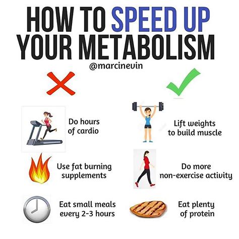 Exercises That Speed Up Your Metabolism Exercise Poster