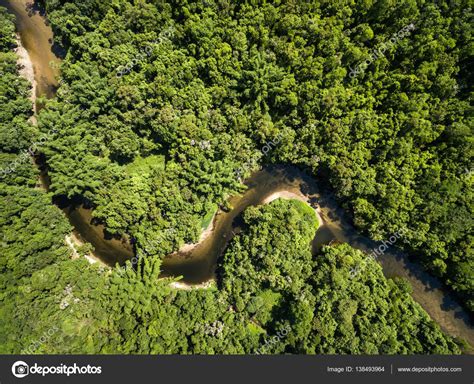 View Of River In Rainforest — Stock Photo © Gustavofrazao 138493964