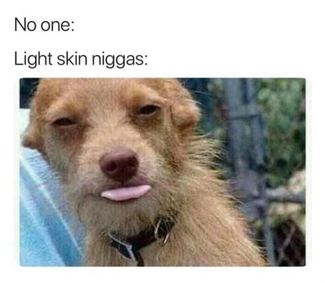 Pin By Donald Mills On Memes 10 Funny Tweets Light Skin Funny