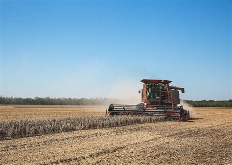 Growers rush to harvest soybeans before Delta visits | Mississippi ...