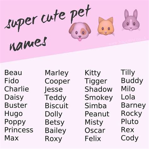 Names Of Cute Animals Animals World