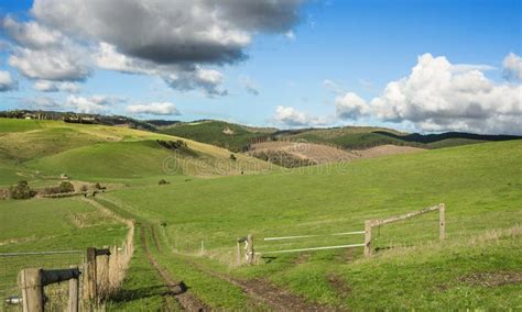 Australian Country Landscape Royalty Free Stock Photography Image