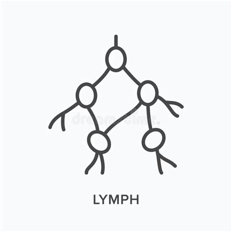 Lymph Flat Line Icon Vector Outline Illustration Of Human Anatomy