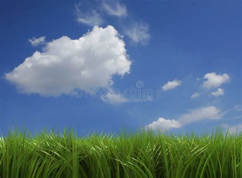 Grass And Sky Stock Photo Image Of Calm Green Background 5407108