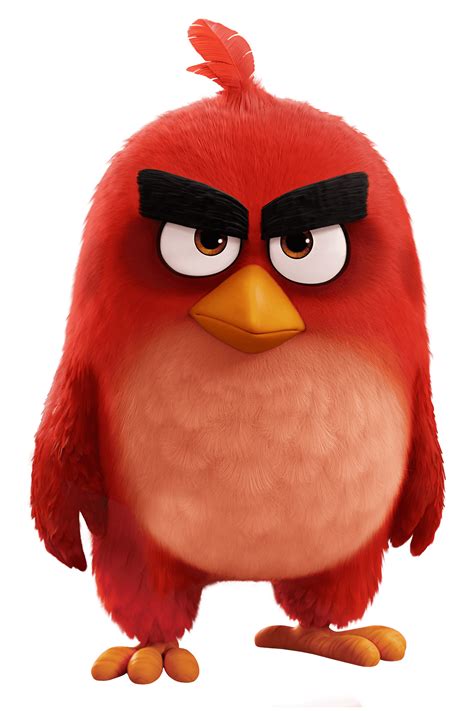Angry Birds Movie Red Bird Icons Png Free Png And Icons Downloads