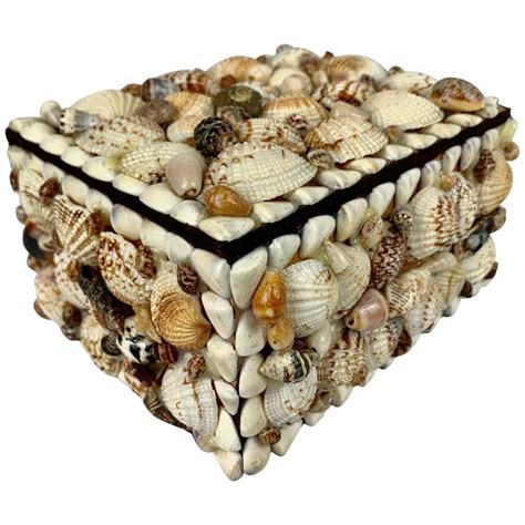 Natural Shell Box At 1stdibs