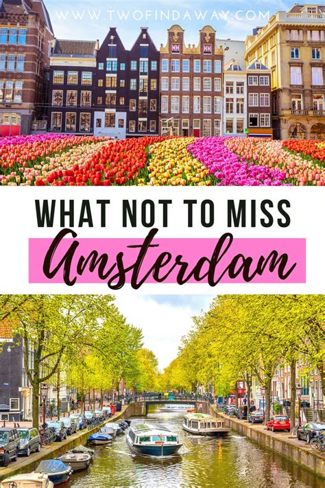 5 Things You Have To Do In Amsterdam When You Visit The Netherlands