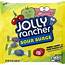 Jolly Rancher Assorted Sour Fruit Hard Candy Pieces Oval 13 